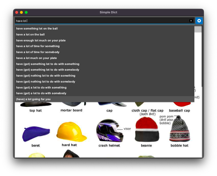 3. Search for dictionary content